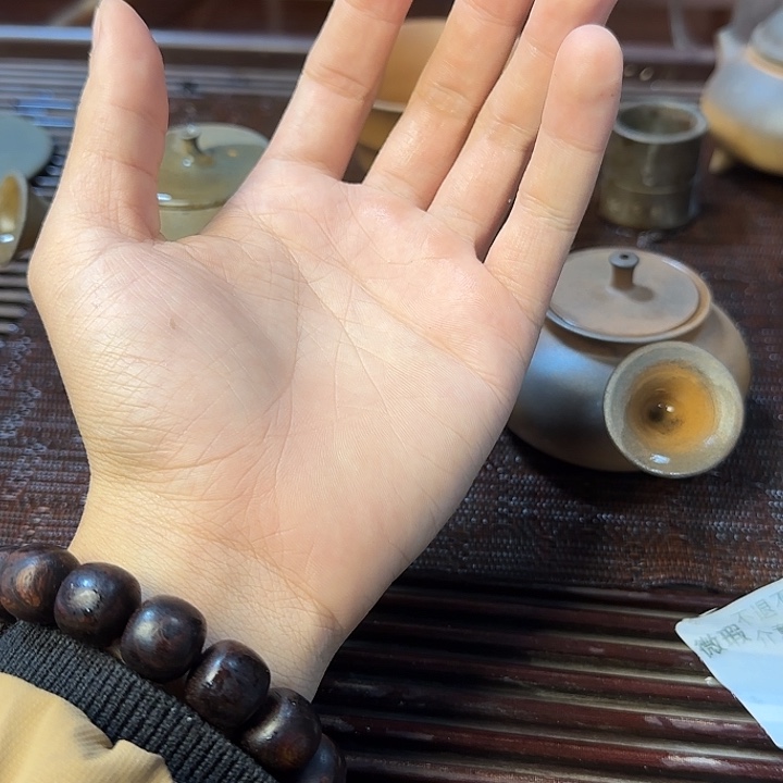 徐***齋茶壶紫砂坭兴陶柴烧