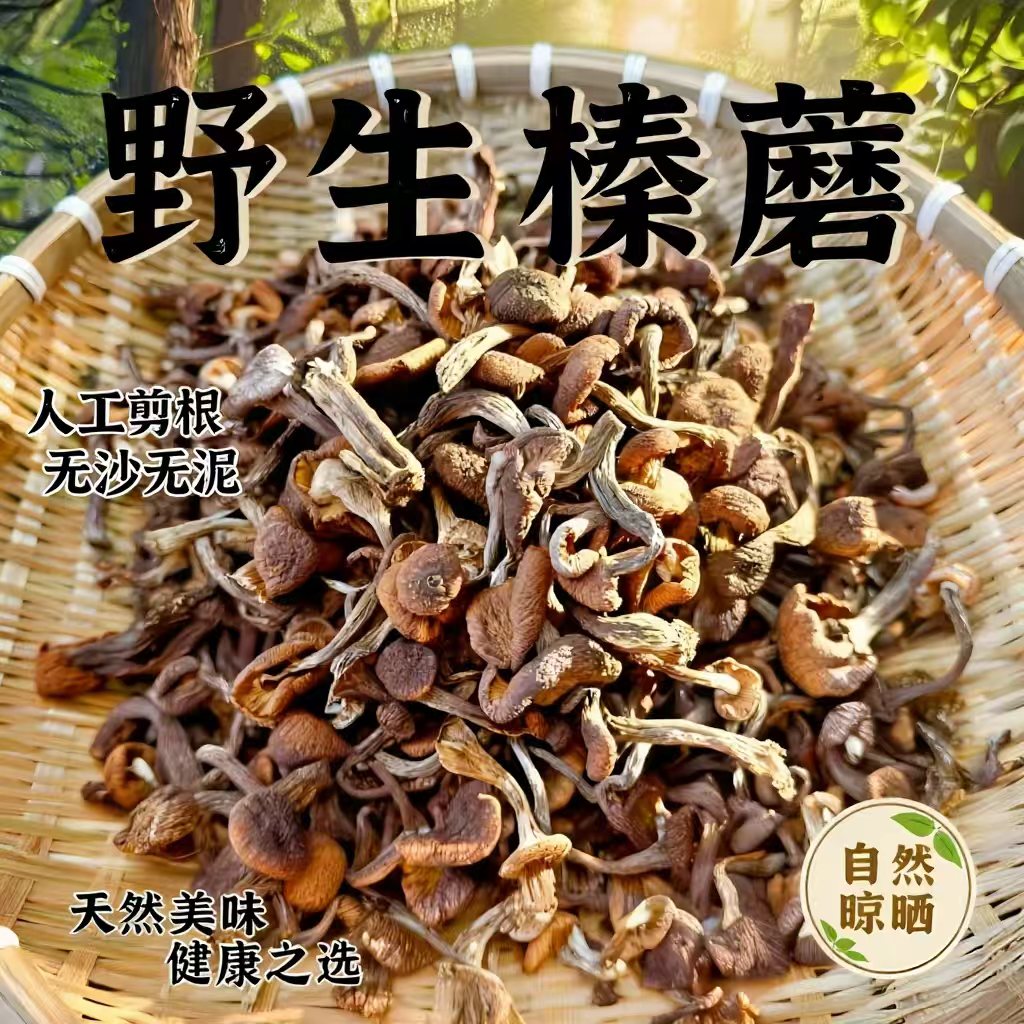 2025年东北特产野生榛蘑丁干货农家自采手选去根榛蘑炖小鸡无熏硫