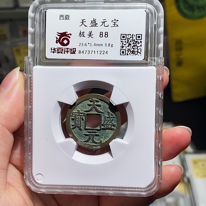 铜瀚海文物A天盛元宝1224
