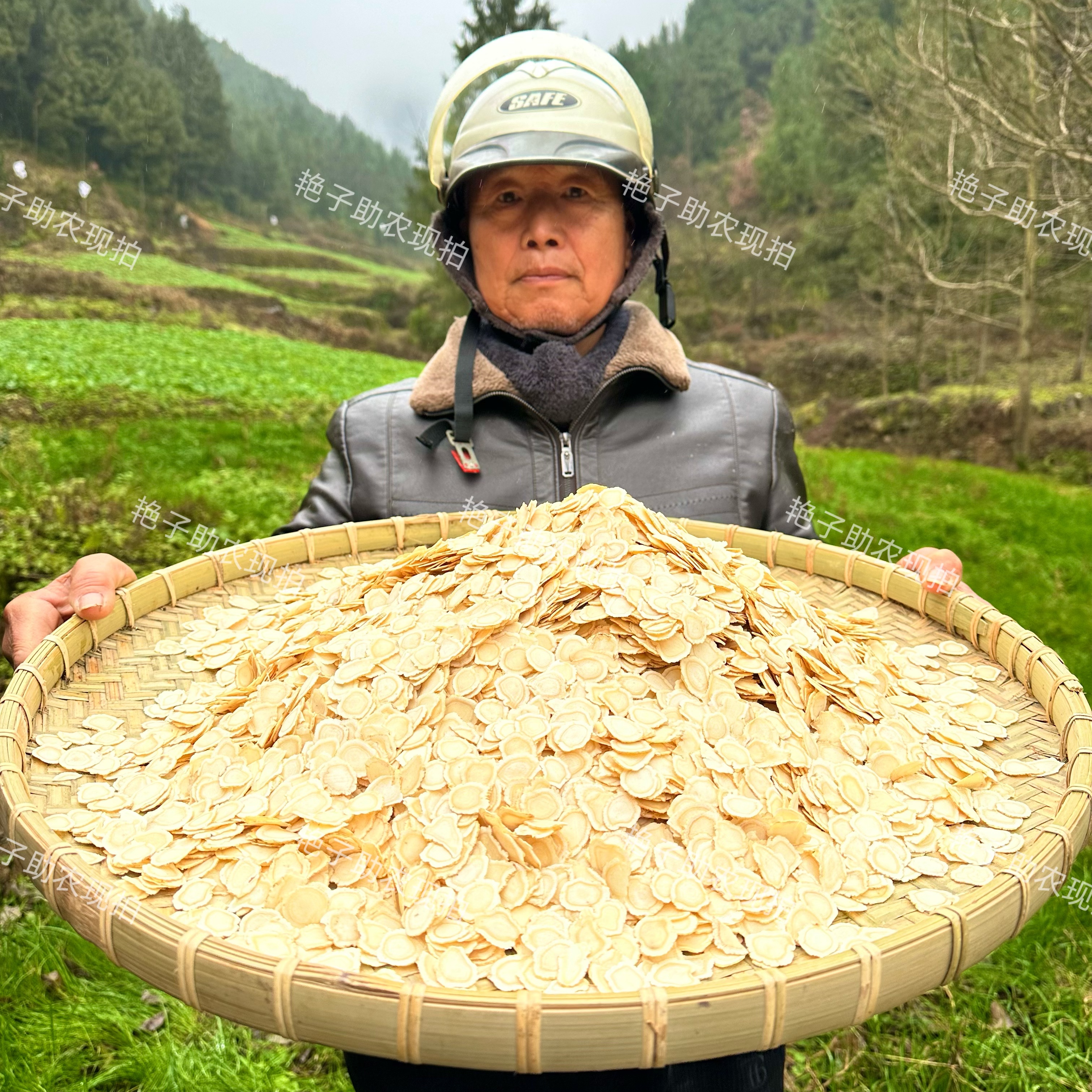 【现收西洋参片】无硫泡水泡酒