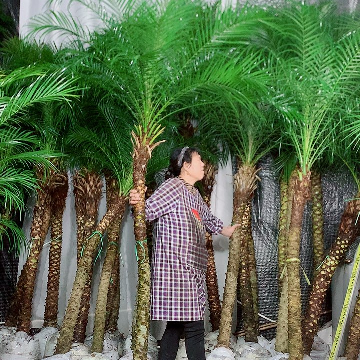 云***宿无花朵1111111111111