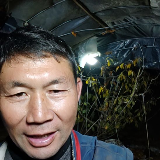 完全开放一物一拑
