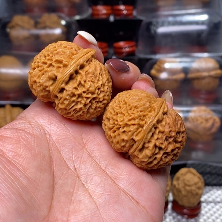 文玩核桃把件珊瑚纹元宝-…………32