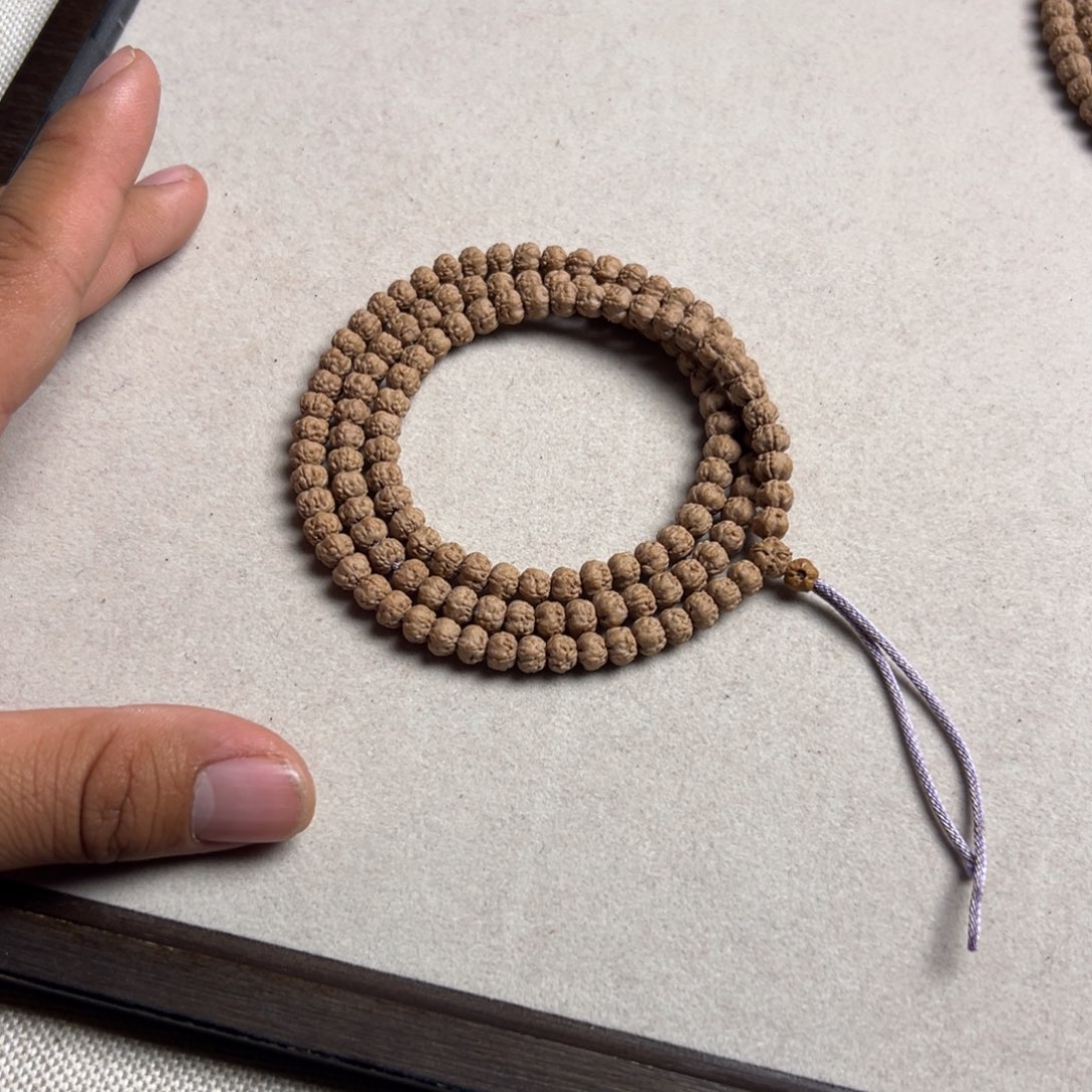 6.5五爪金龙原桩佛手