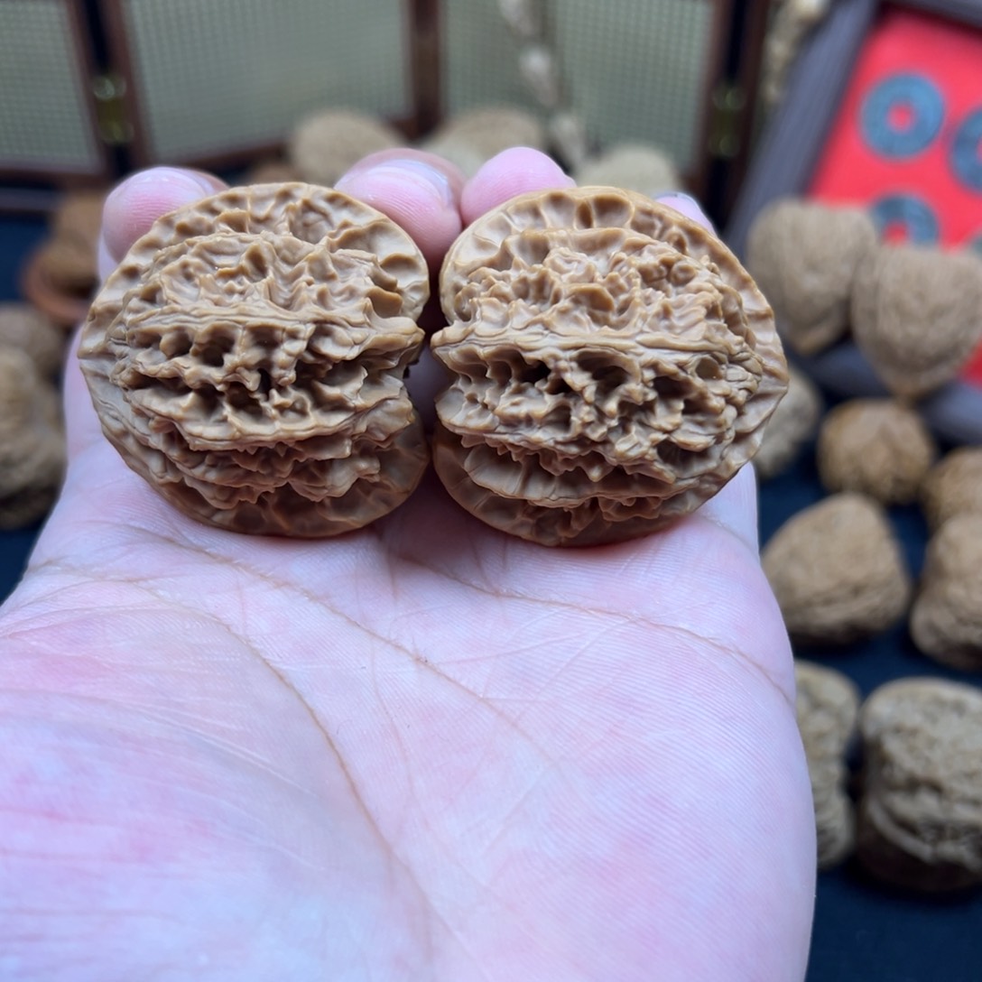 其他核桃42尺全品原桩苹果园