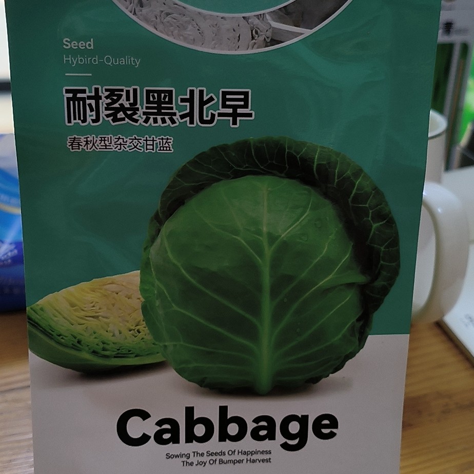 耐裂黑北早杂交甘蓝种子