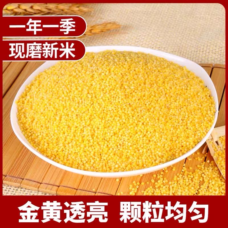 【长葛欧巴】新疆特产疏勒沙漠小米营养丰富熬粥佳品