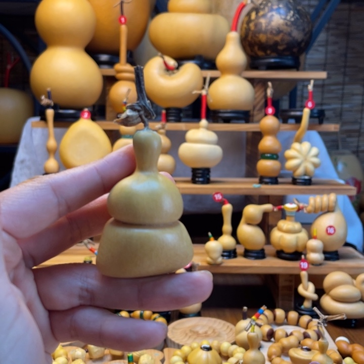 钧***桐天然葫芦自然生长