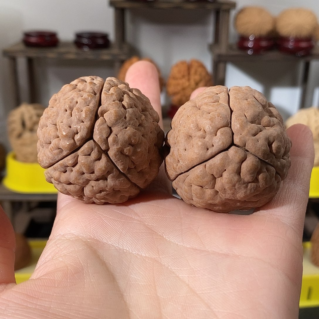 吊坠文玩核桃玉**山三瓣脑纹金刚练手不退不换不接受中差评