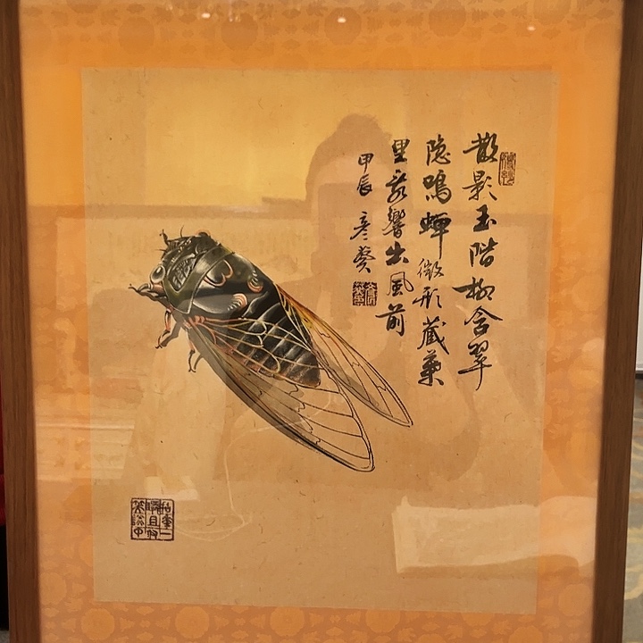 书法书法作品欣赏艺术