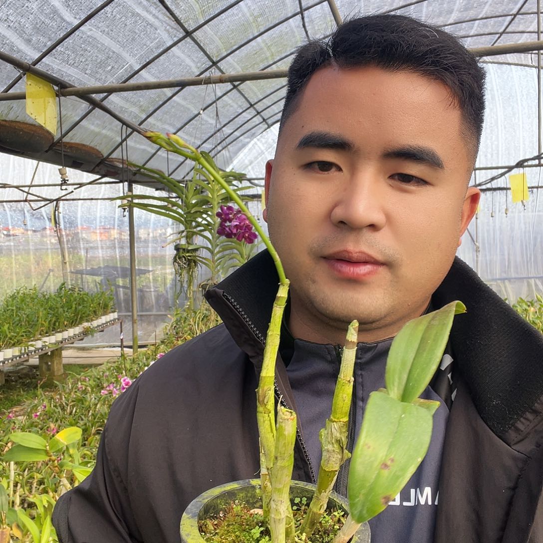 当前无花朵，栽培后可花朵222