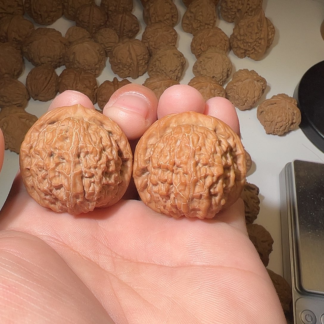 无***序猴头核桃吊坠文玩