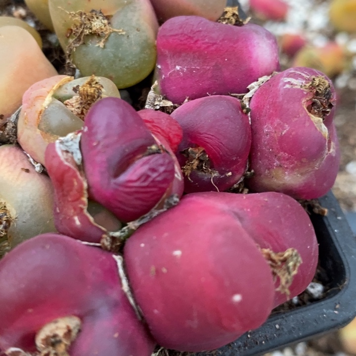 31164有伤一组一组