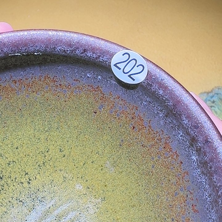 茶盏ciabatt。差，爸爸啊