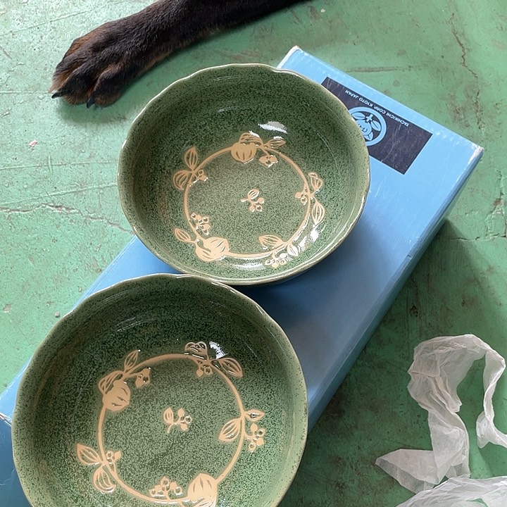 瓷片048 一人直播，看品直播间说序号5个