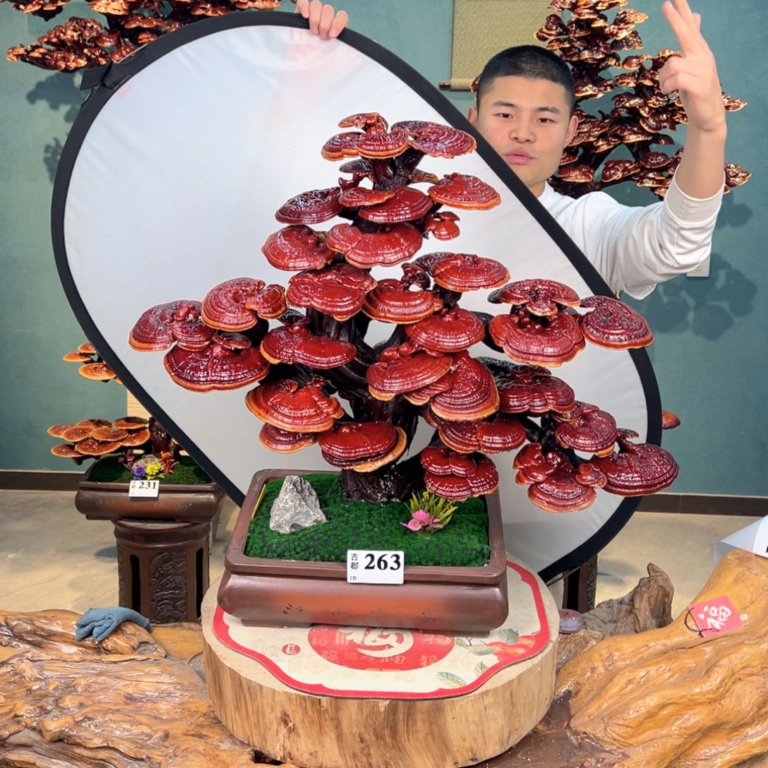 无花朵888888888888