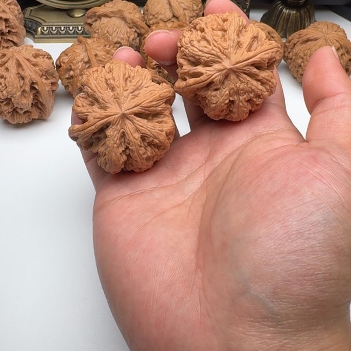 核桃大粗筋全品福利对