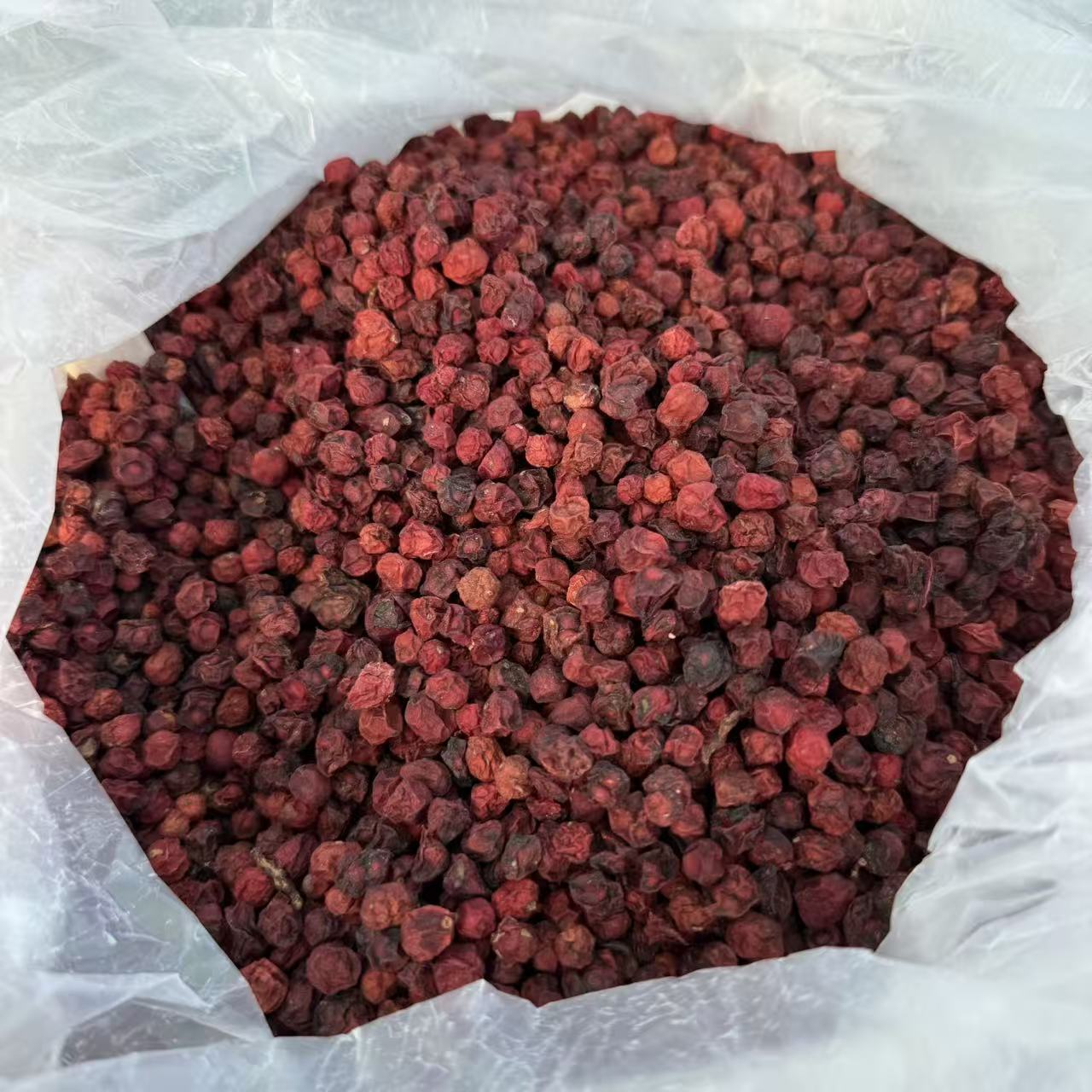 正宗红 豆 杉 果 可泡水