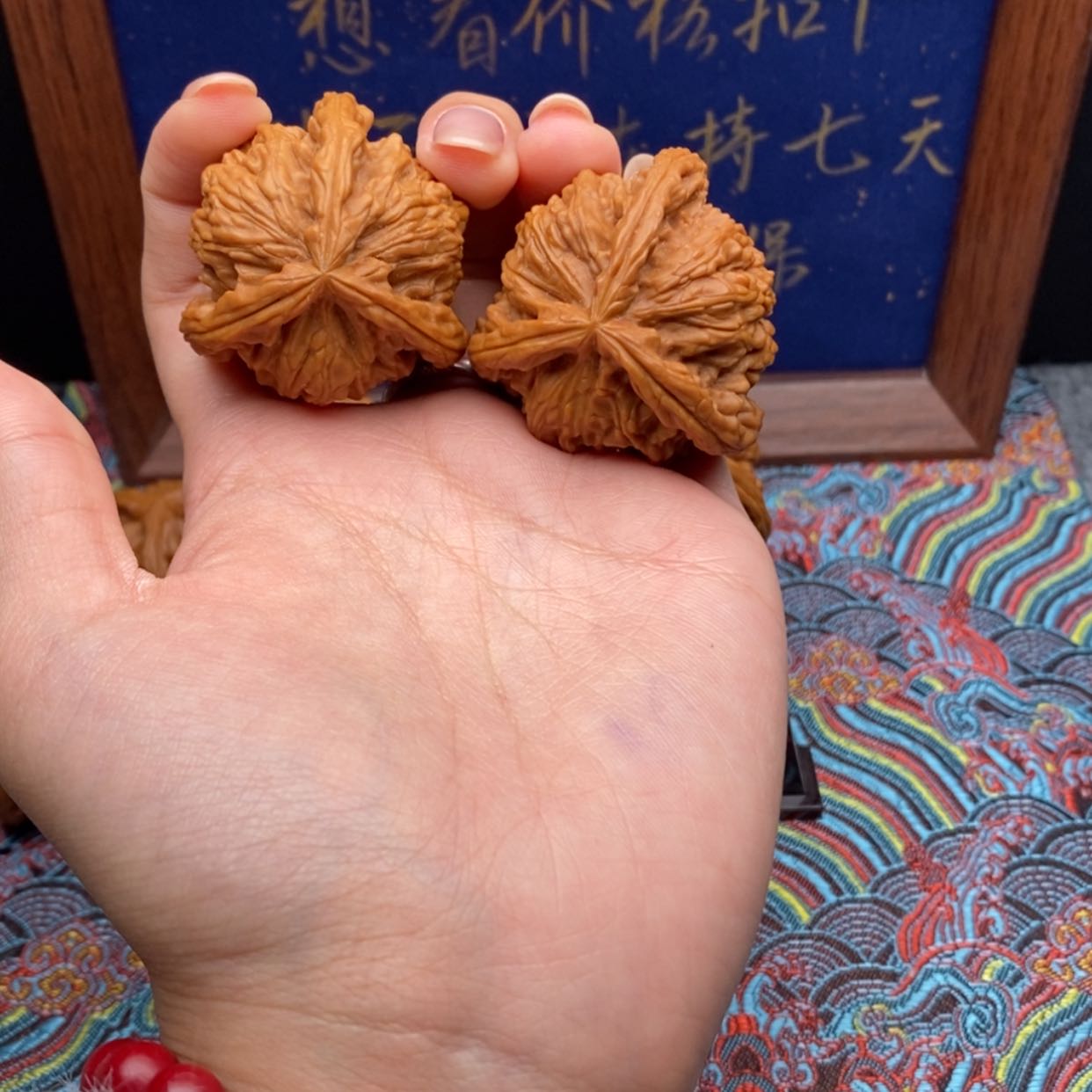 【闪购商品】大**言白狮