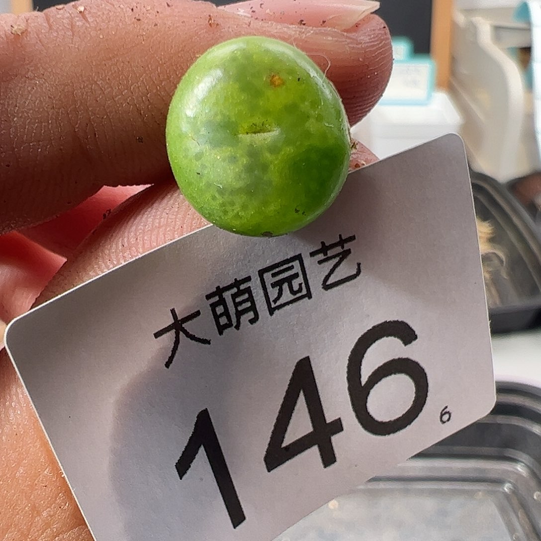 0000146 一物一拍……