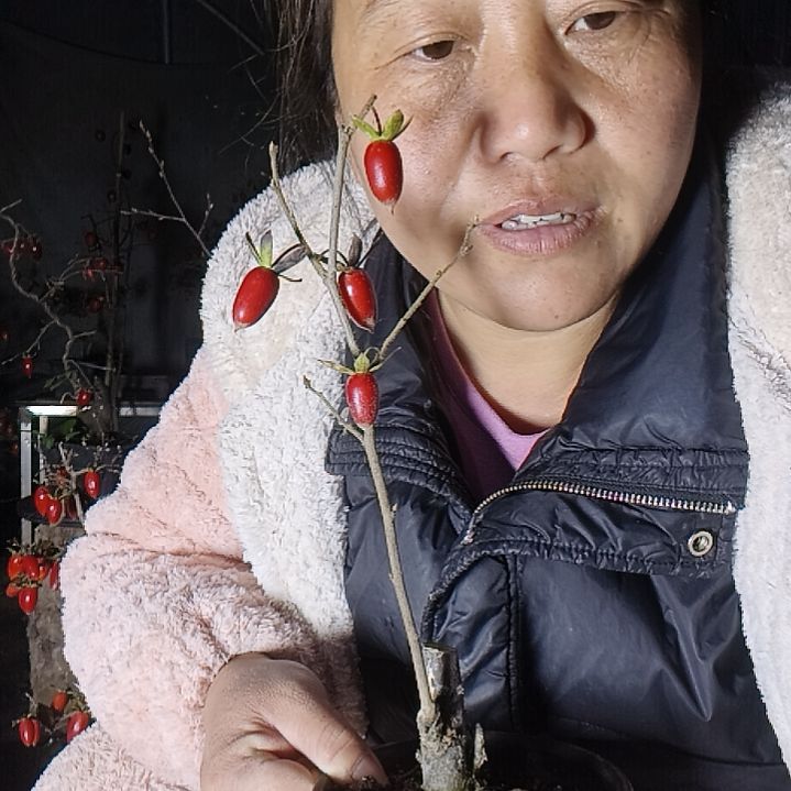 佛***心无花朵1265459899 9