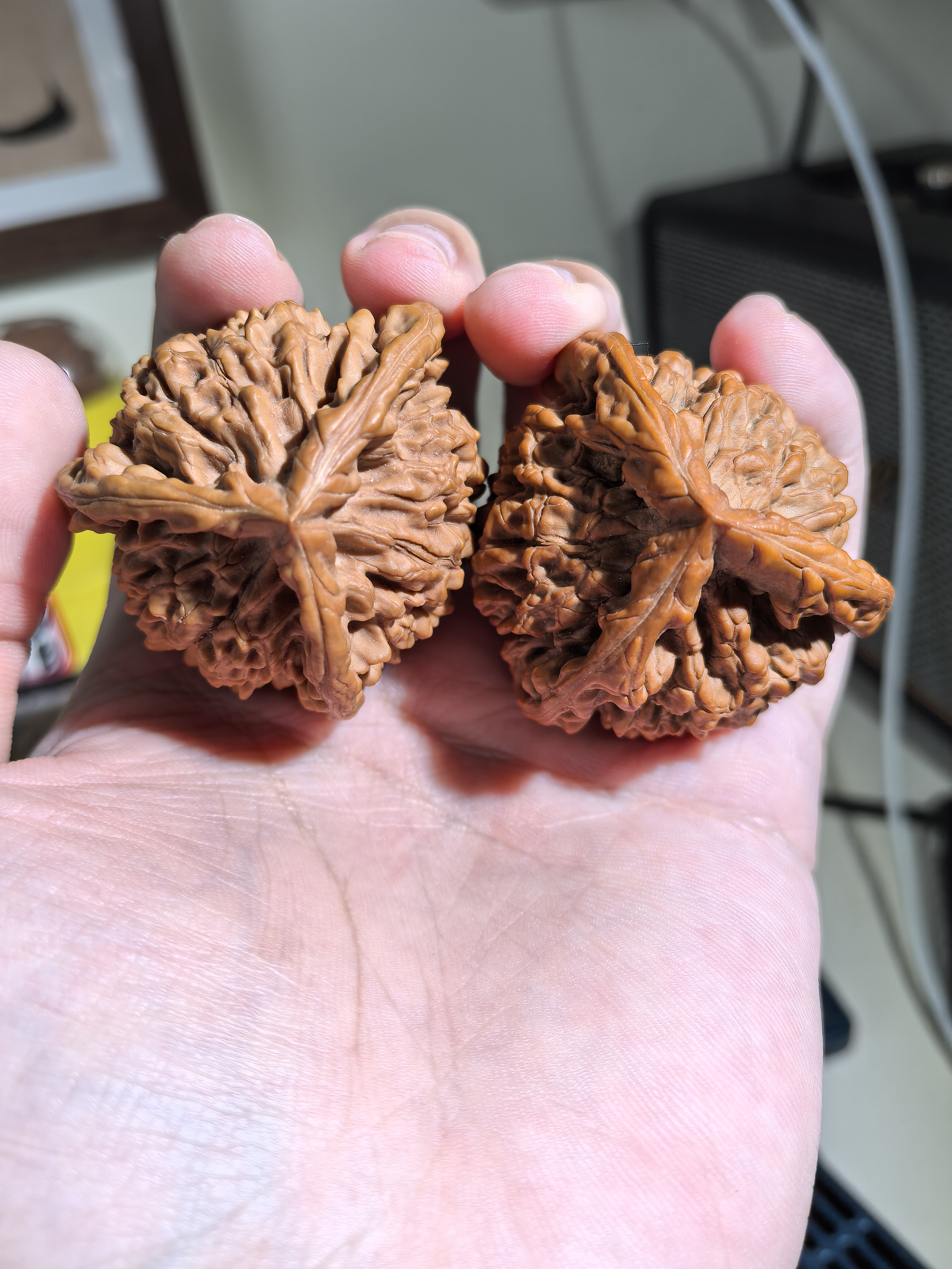 文玩核桃官帽三棱49尺