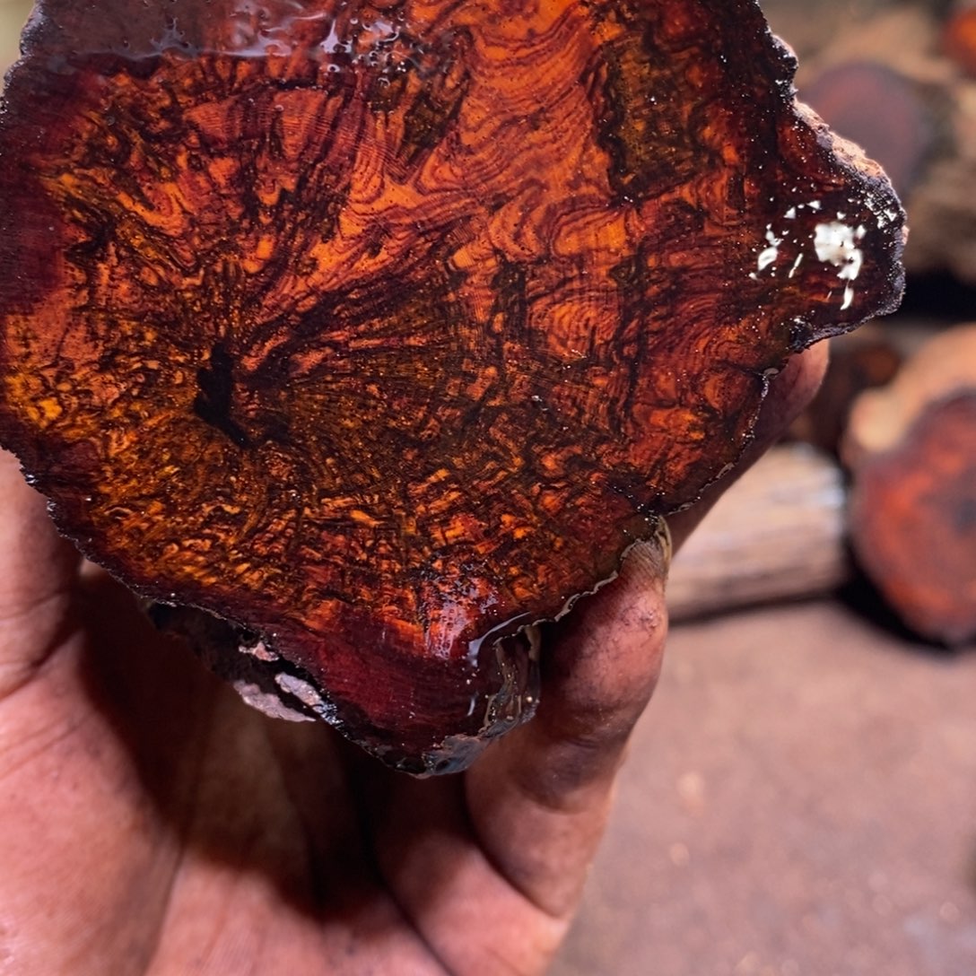 用***4有机玻璃在线函数等多种