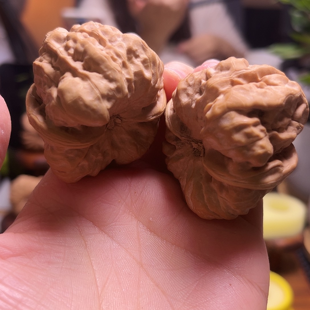 远***程文玩核桃把件43尺白茬蛤蟆63