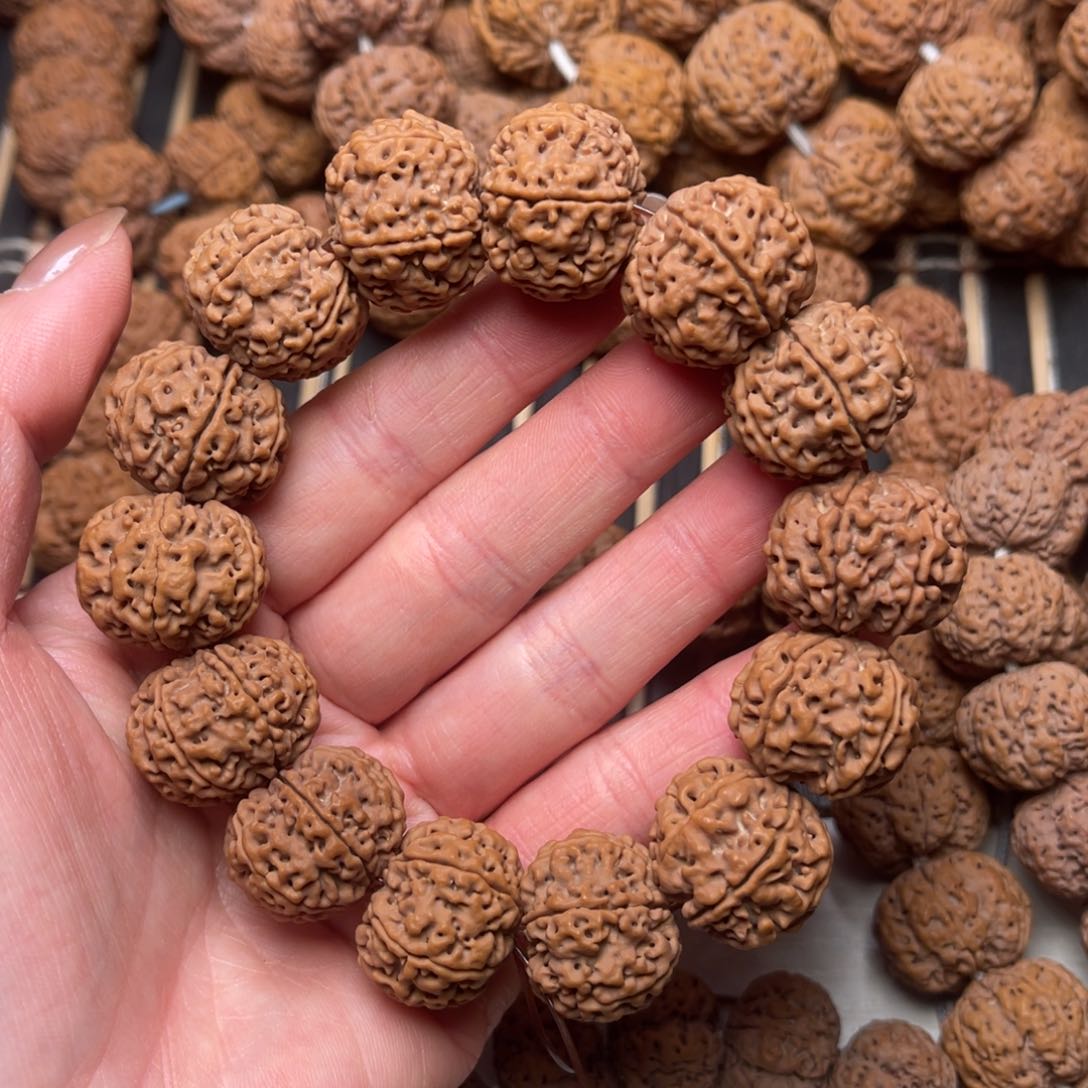 菩提尼泊尔大金刚原生态六瓣21