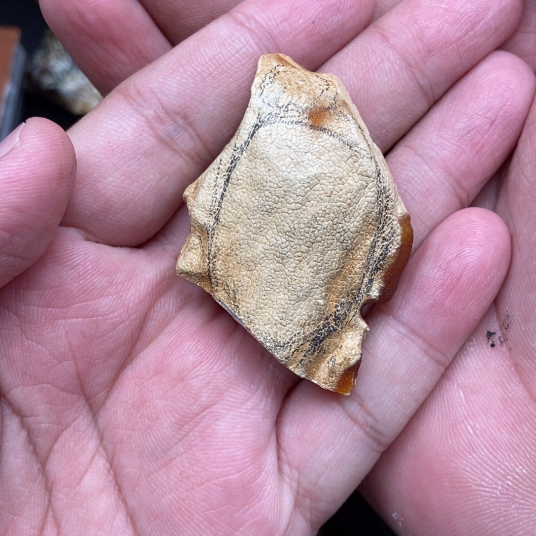 请***子定制琥珀未镶嵌定制