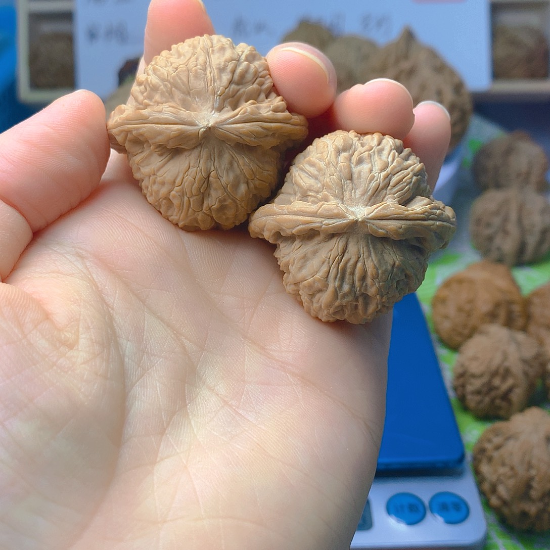 把件文玩核桃白狮子39