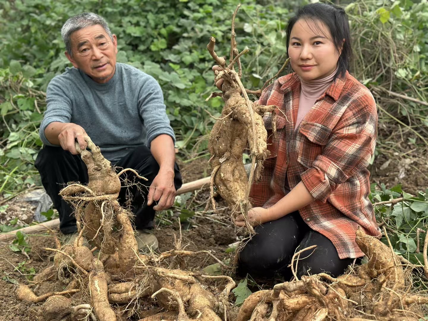 农家手工制作深山柴葛根粉特产