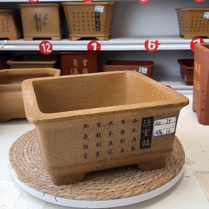 紫砂花盆蛇年大吉