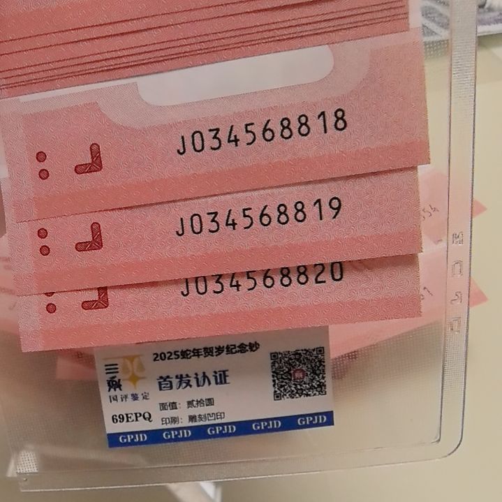 塑料耿****清蛇年生肖纪念钞标十8811