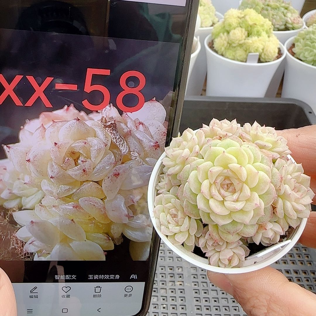 1122-31（xx-58）优选