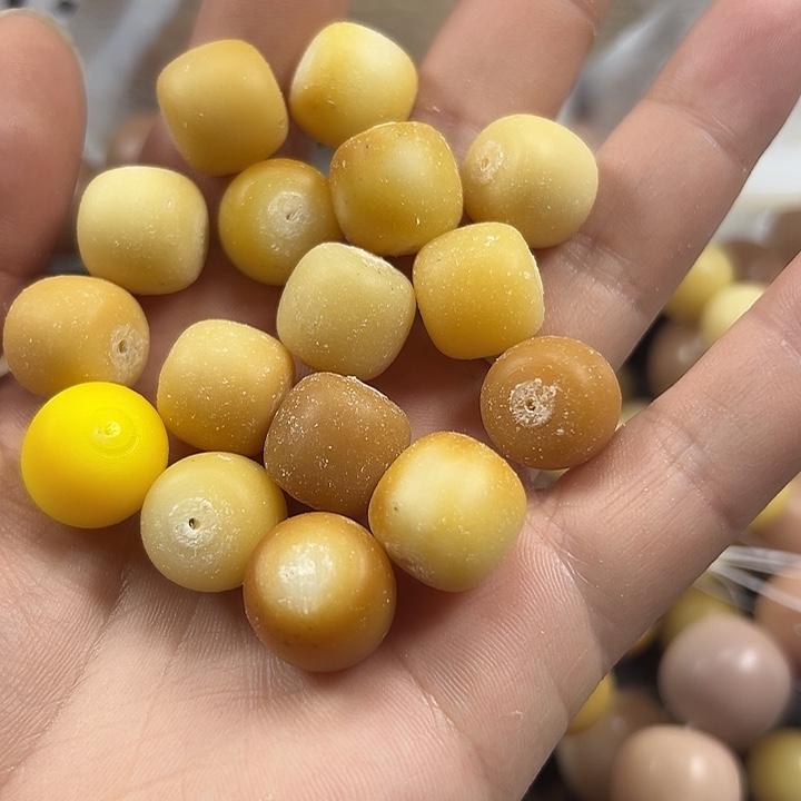 菩提根/象牙果吊坠