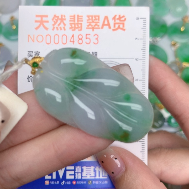 翡翠18K金镶嵌颈饰叶子