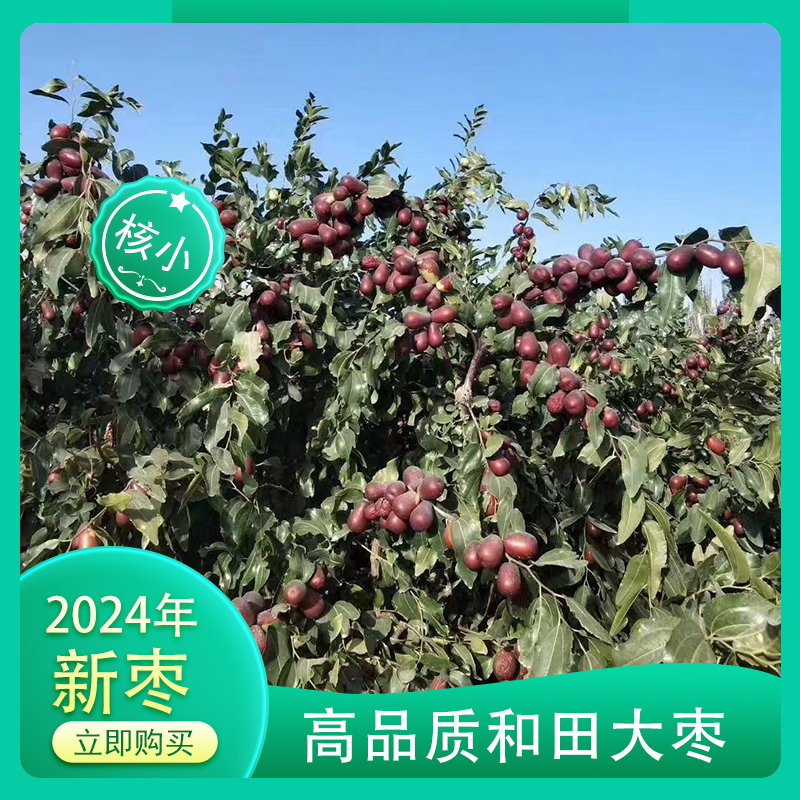 新疆和田原生态吊干枣一级不清洗产地直发包邮（5斤） 