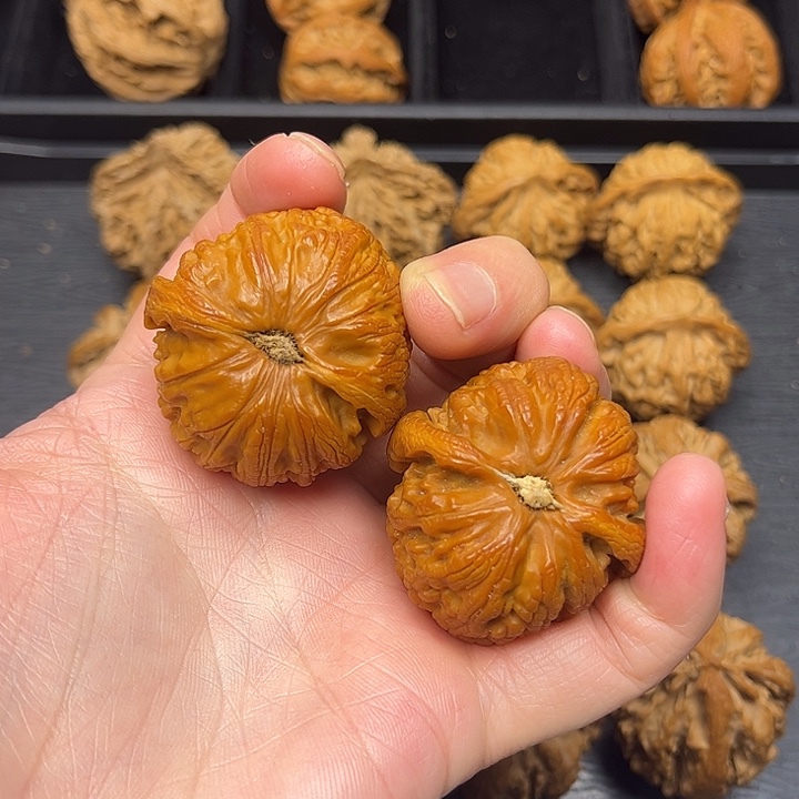 孤***-核桃秦岭山脉中段怒江与澜沧江