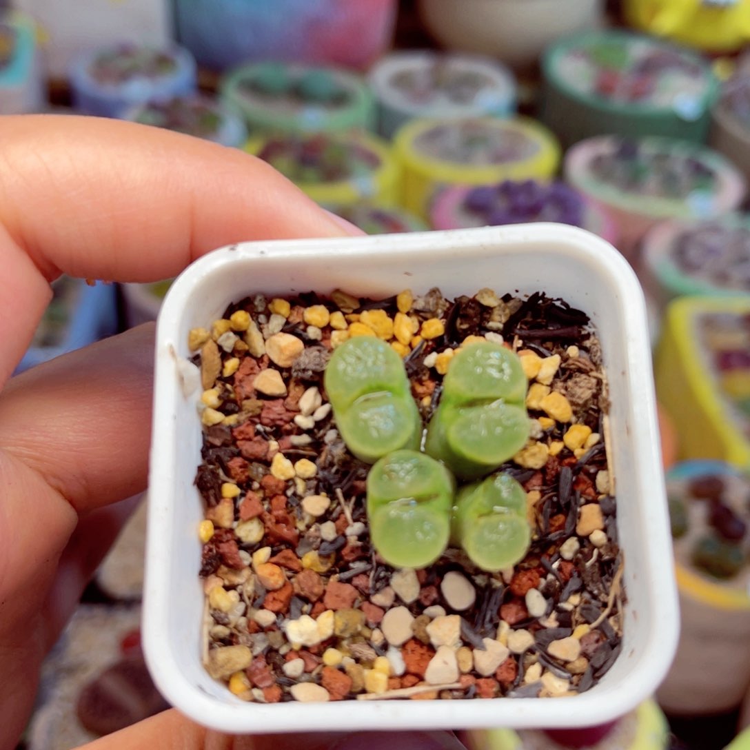 010。88888888888888888888