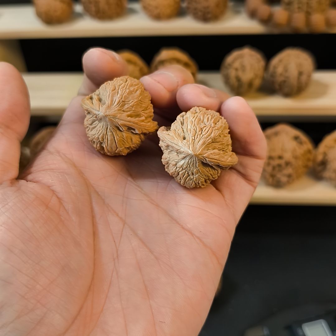 文玩核桃吊坠33泥鳅背