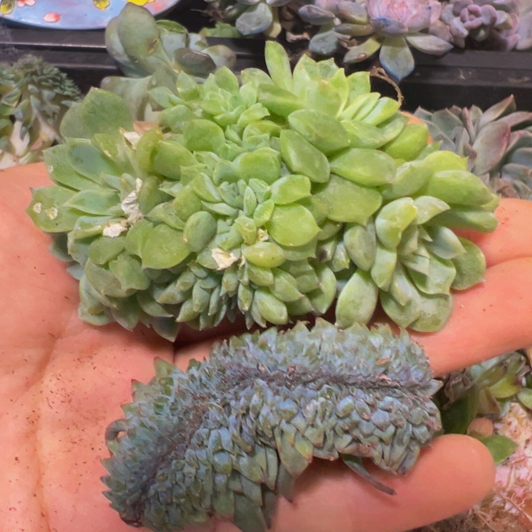 新年快乐 新年快乐 新年快乐 新年快乐