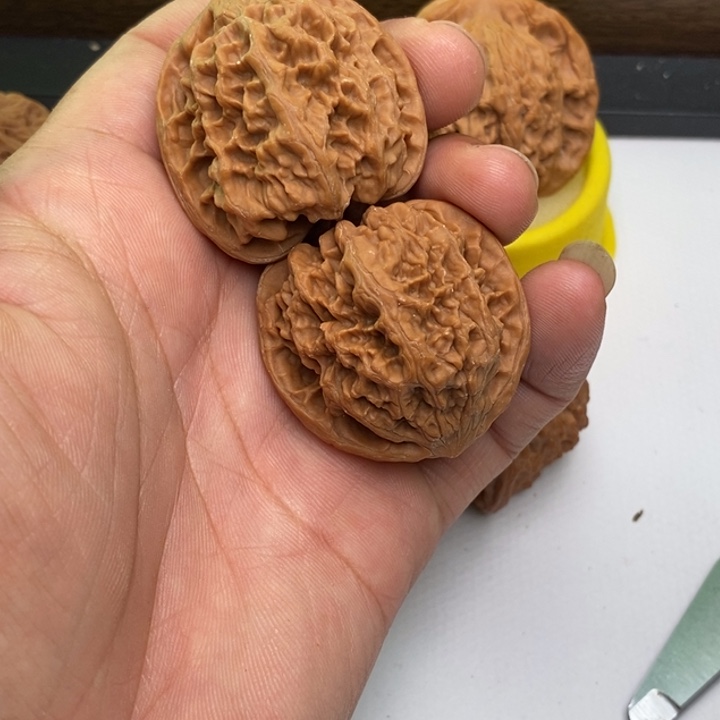 野牛狮子头狮子头随机发