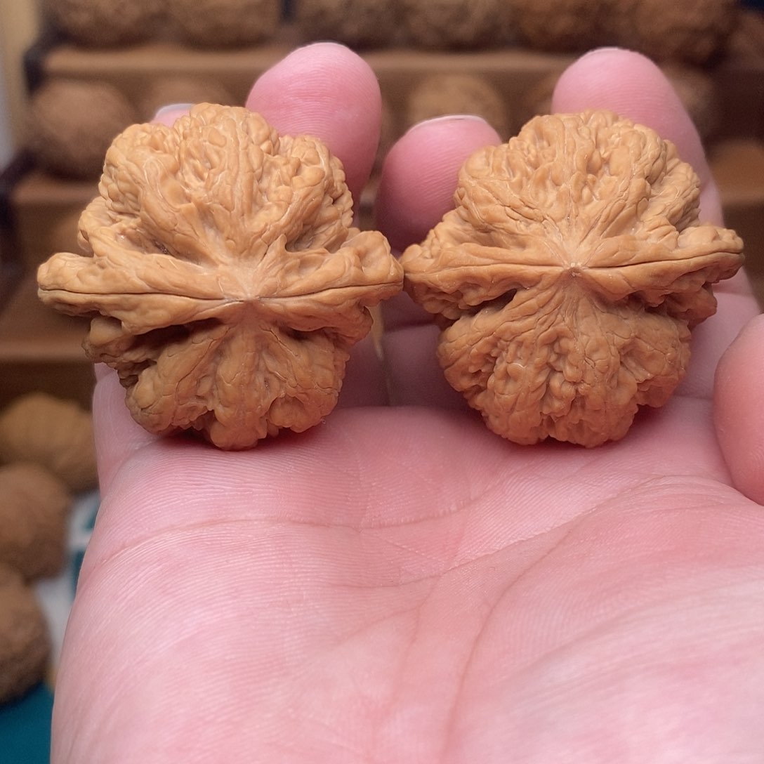 文玩核桃把件练手粗筋42