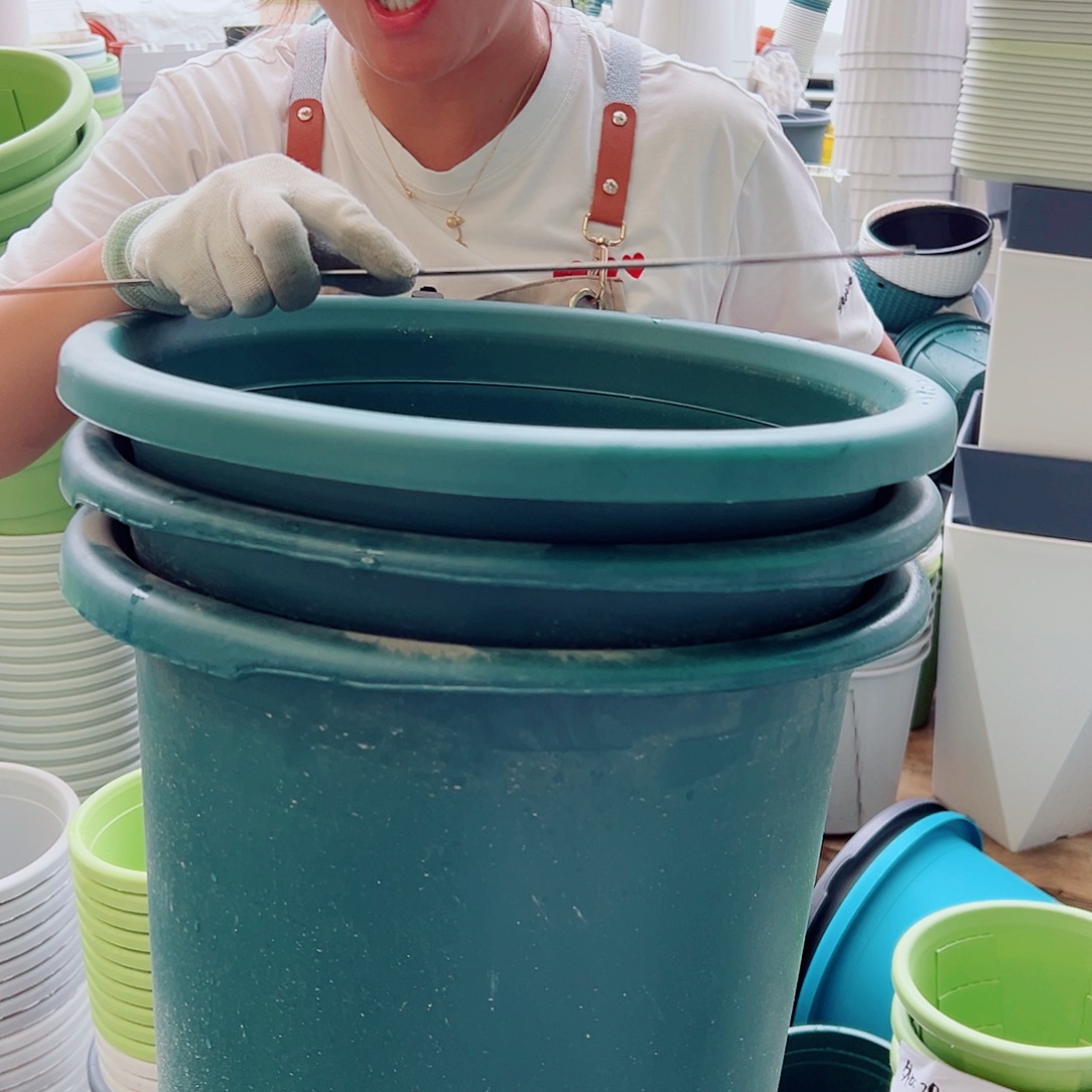 瑕疵四季盆8#墨绿色3个无托