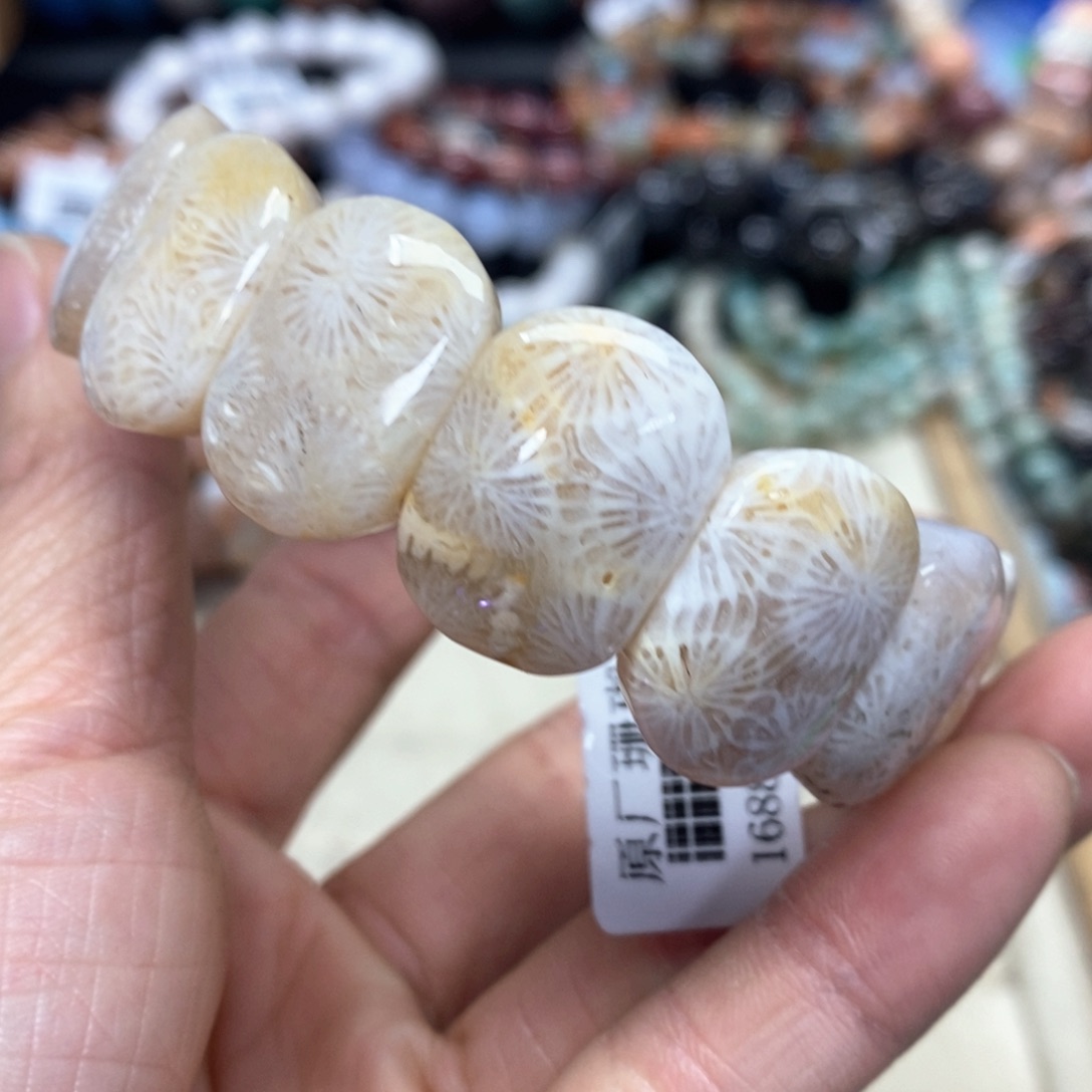 硅化珊瑚（珊瑚玉）手链未镶嵌我***肉288