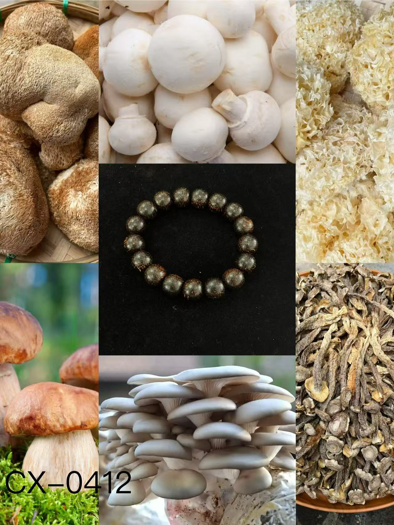 【孙哥专属土特产cx-0412】多样性发货 重量23克