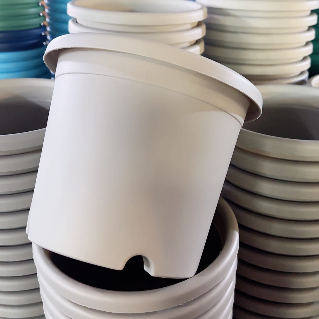 树脂3#无拖灰白10个