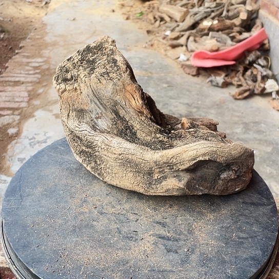 襄***）柏木崖柏崖柏崖柏