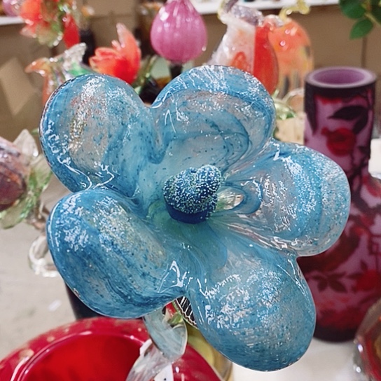 琉璃夜光花高45厘米